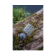 Cosulet Korum - Slow Sinking Feeder Small 12.5g Cosulet Korum - Slow Sinking Feeder Small 12.5g